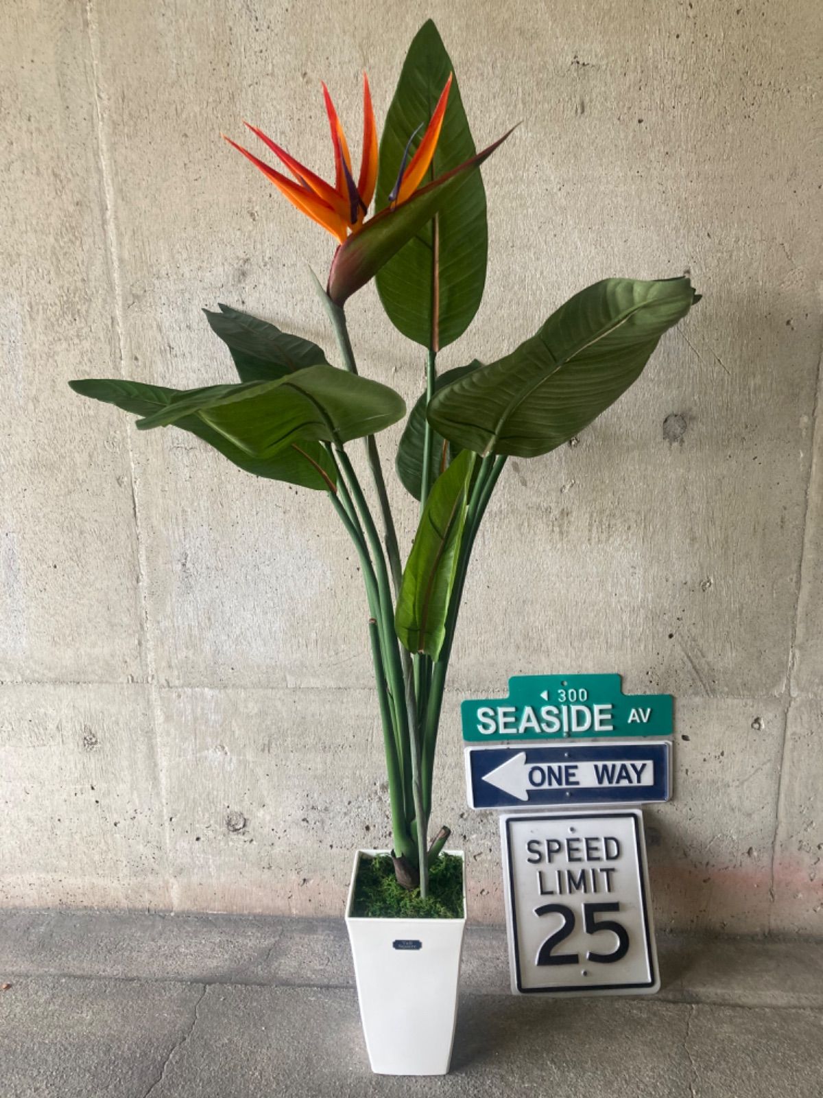 人工観葉植物 ウォールグリーン