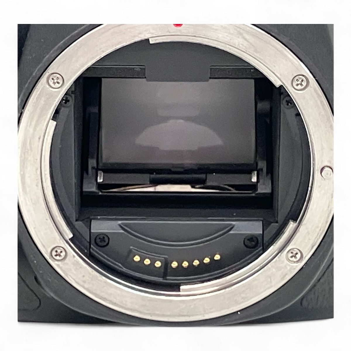 Canon 6D