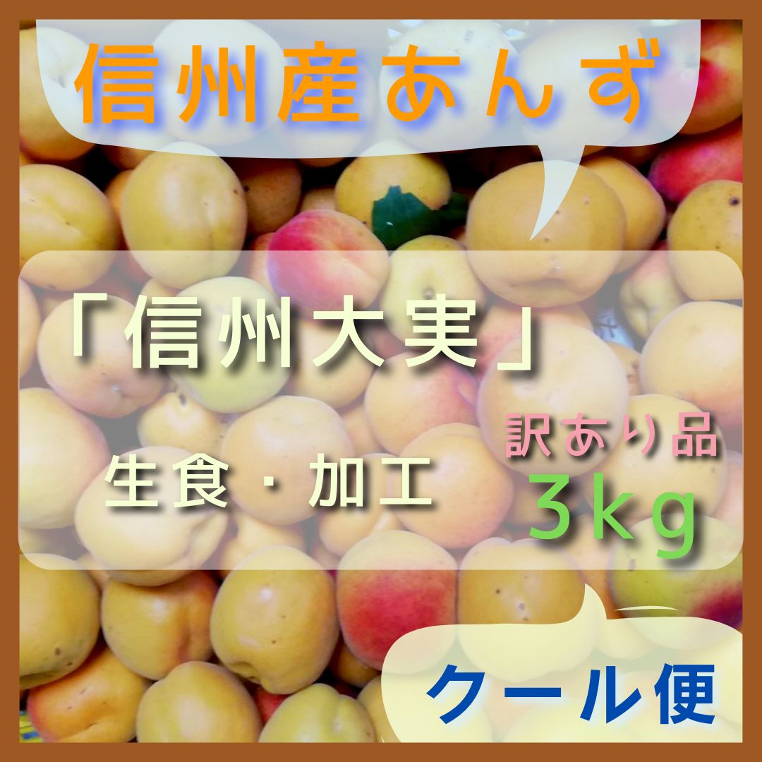 生食用 訳あり あんず 杏 3キロ - あんず、ネクタリン