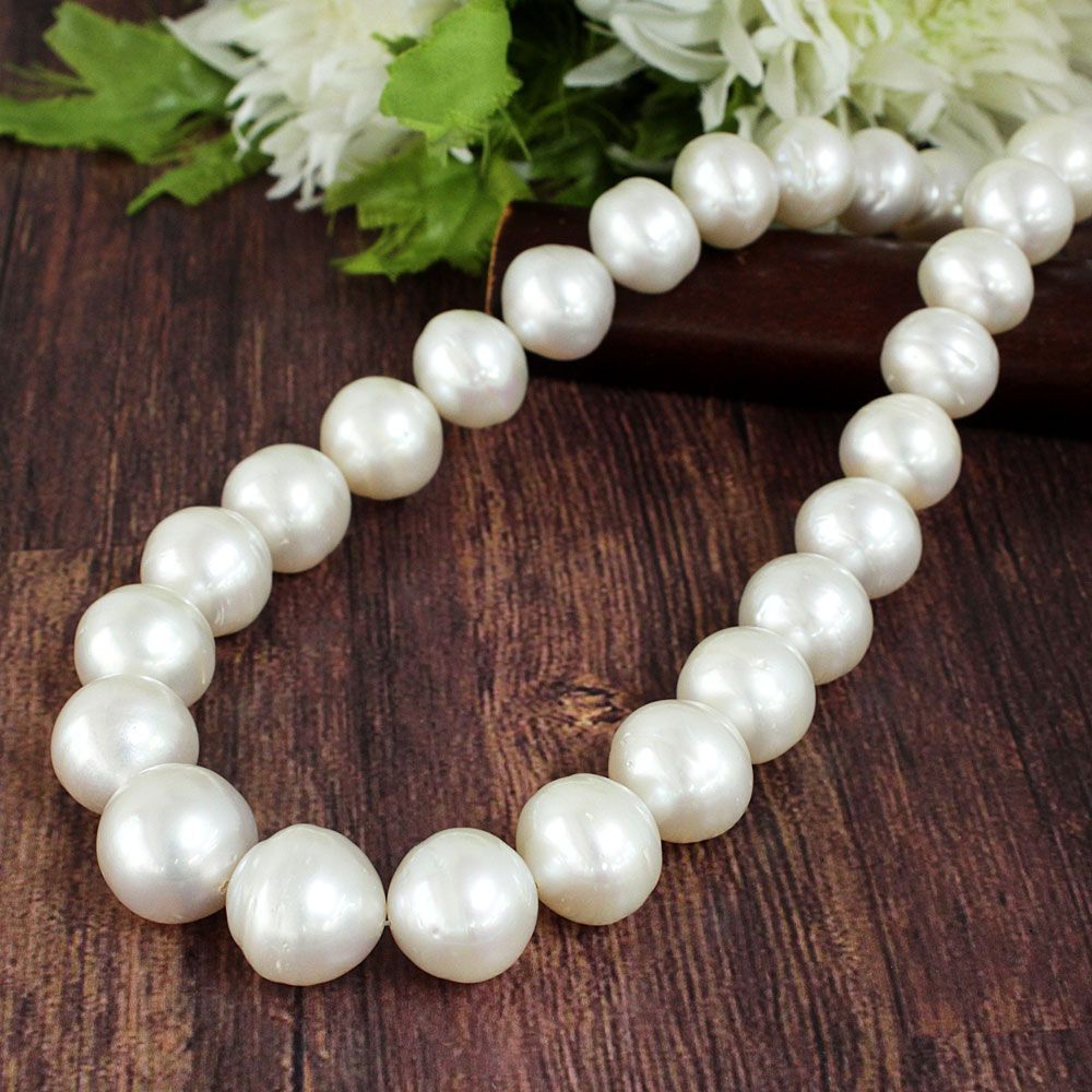 希少 圧巻の超大粒！ 14-17mm 南洋 白蝶 真珠 ネックレス 鑑別 - メルカリ 