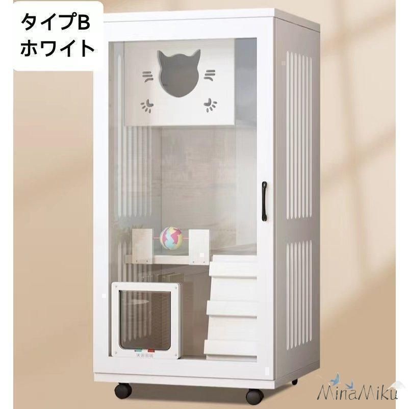 2段猫