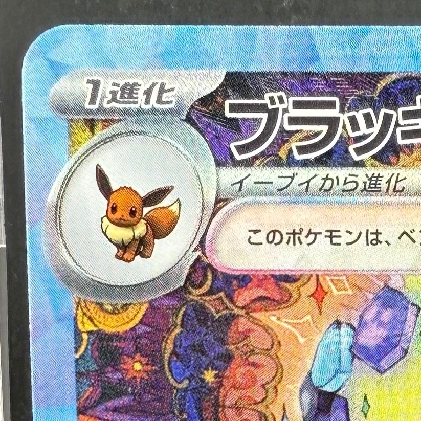 ポケモンカード ブラッキーex SAR テラスタルフェスex 217/187