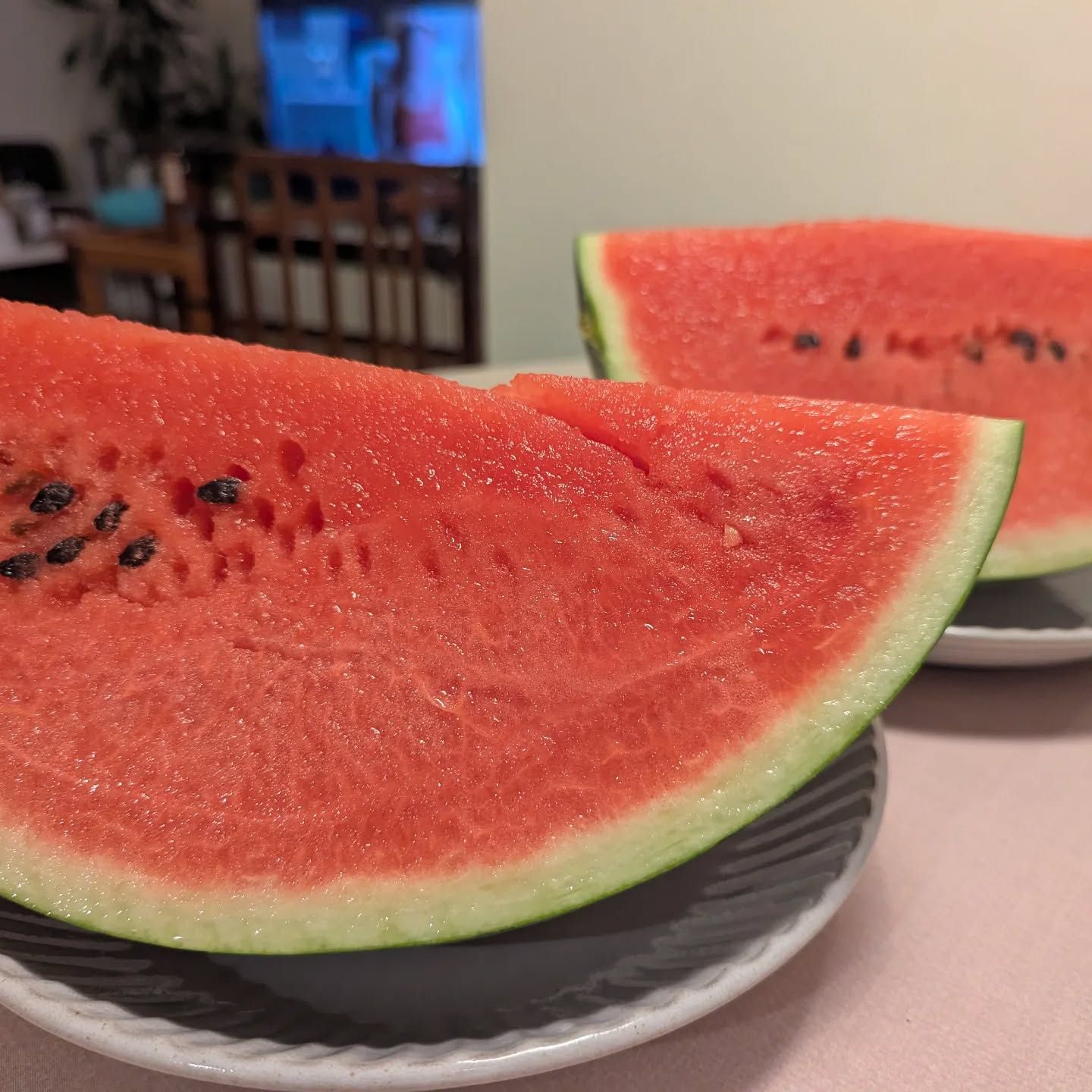 業者直販+激安値段　三浦産 秀品 大玉スイカ 3L 約8.5kg*2玉 発送 業者直販+激安値段 三浦産 秀品 大玉スイカ 3L 約8.5kg*2玉 発送