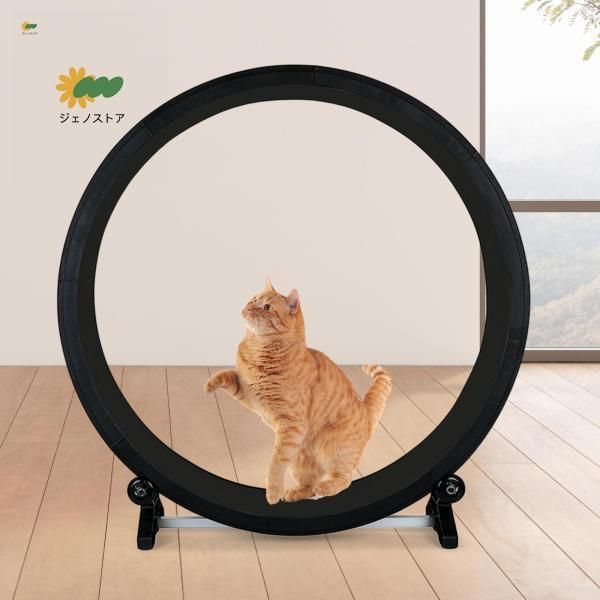 猫 キャットエクササイズホイール ローラー キャットホイール 猫 猫 キャットエクササイズホイール ローラー キャットホイール 猫