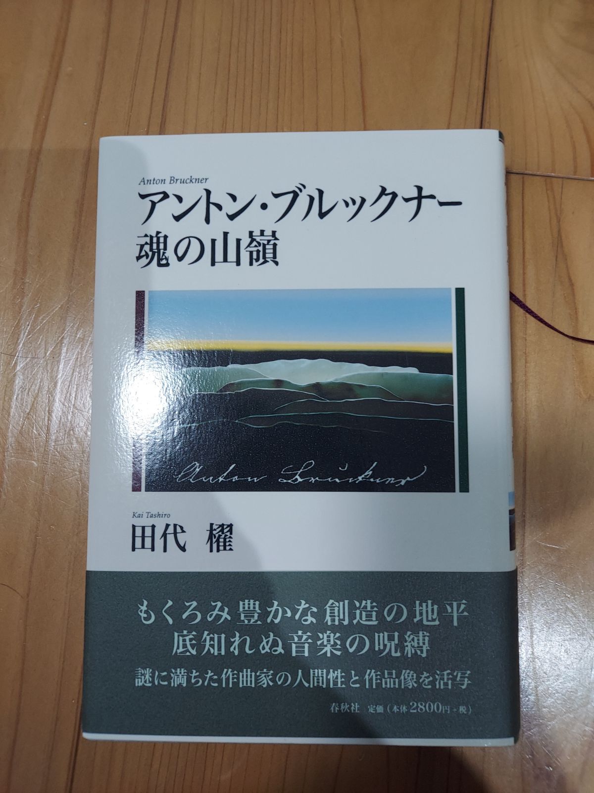 アント•ブルックナー魂の山嶺 - メルカリ