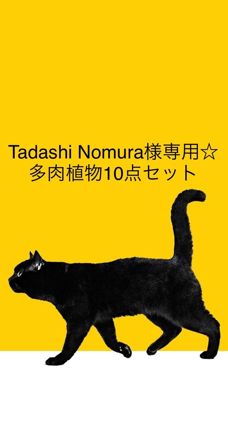 Tadashi Nomura様専用出品ページです！ - ひろみお多肉マーケット