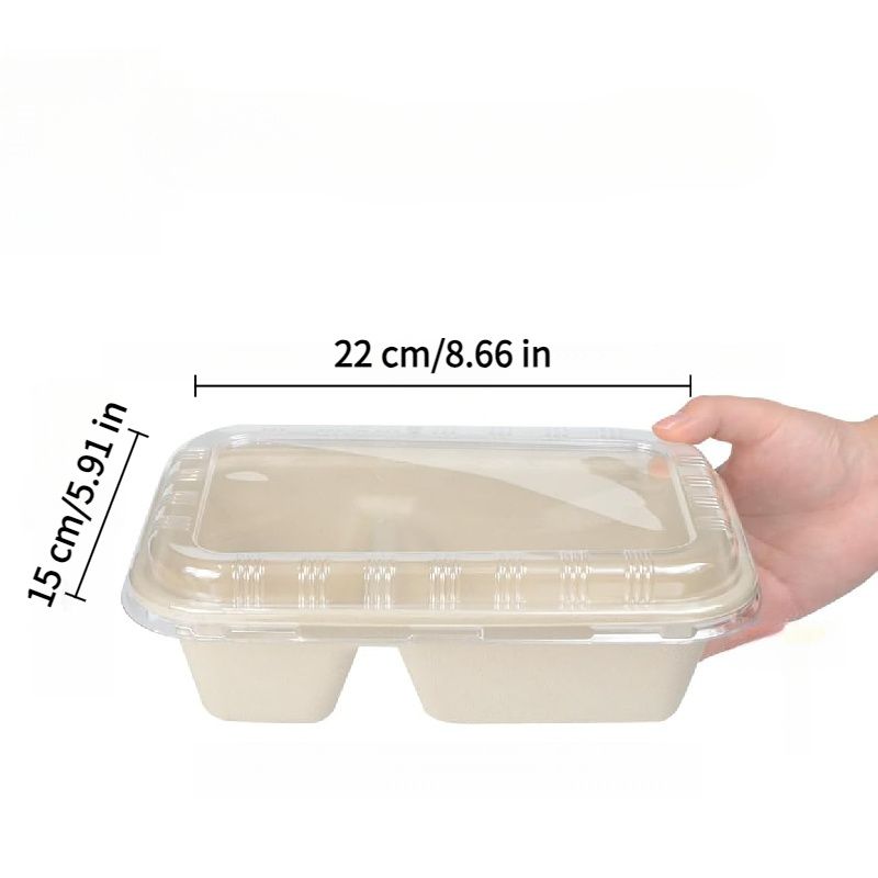 テイクアウト食品容器ランチトレイ