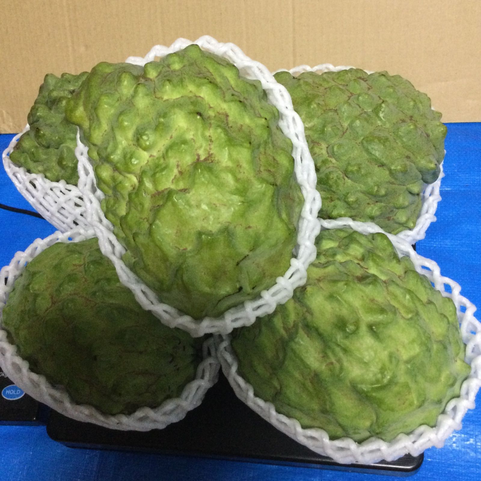 食品 アテモヤ2㎏以上.7800円 4玉〜8玉、Mサイズ〜3Lサイズ