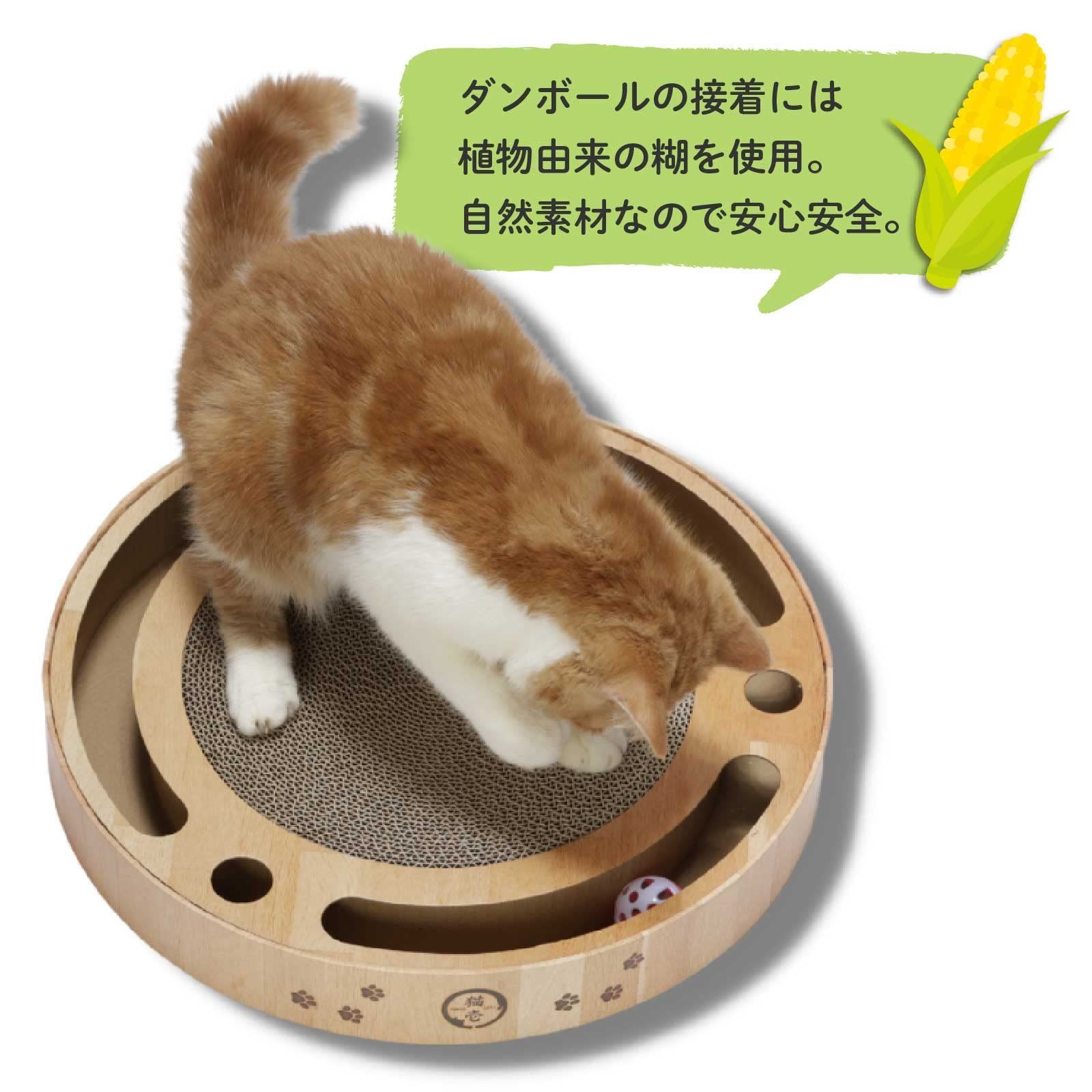 猫壱