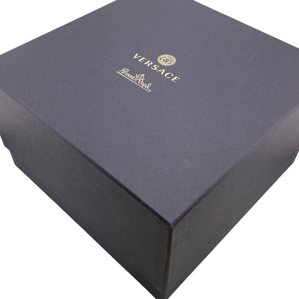 VERSACE/ヴェルサーチ 48870 MEDUSA LUMIERE メデューサルミエール 