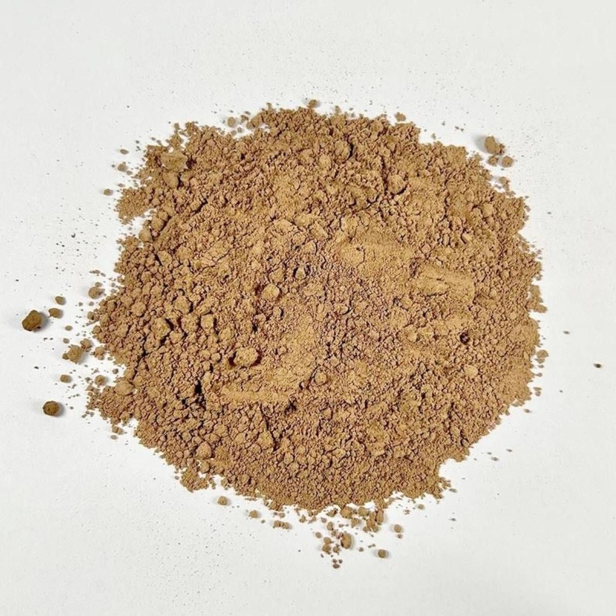 アリサン ココアパウダー 純ココア 業務用 有機ココア オーガニック