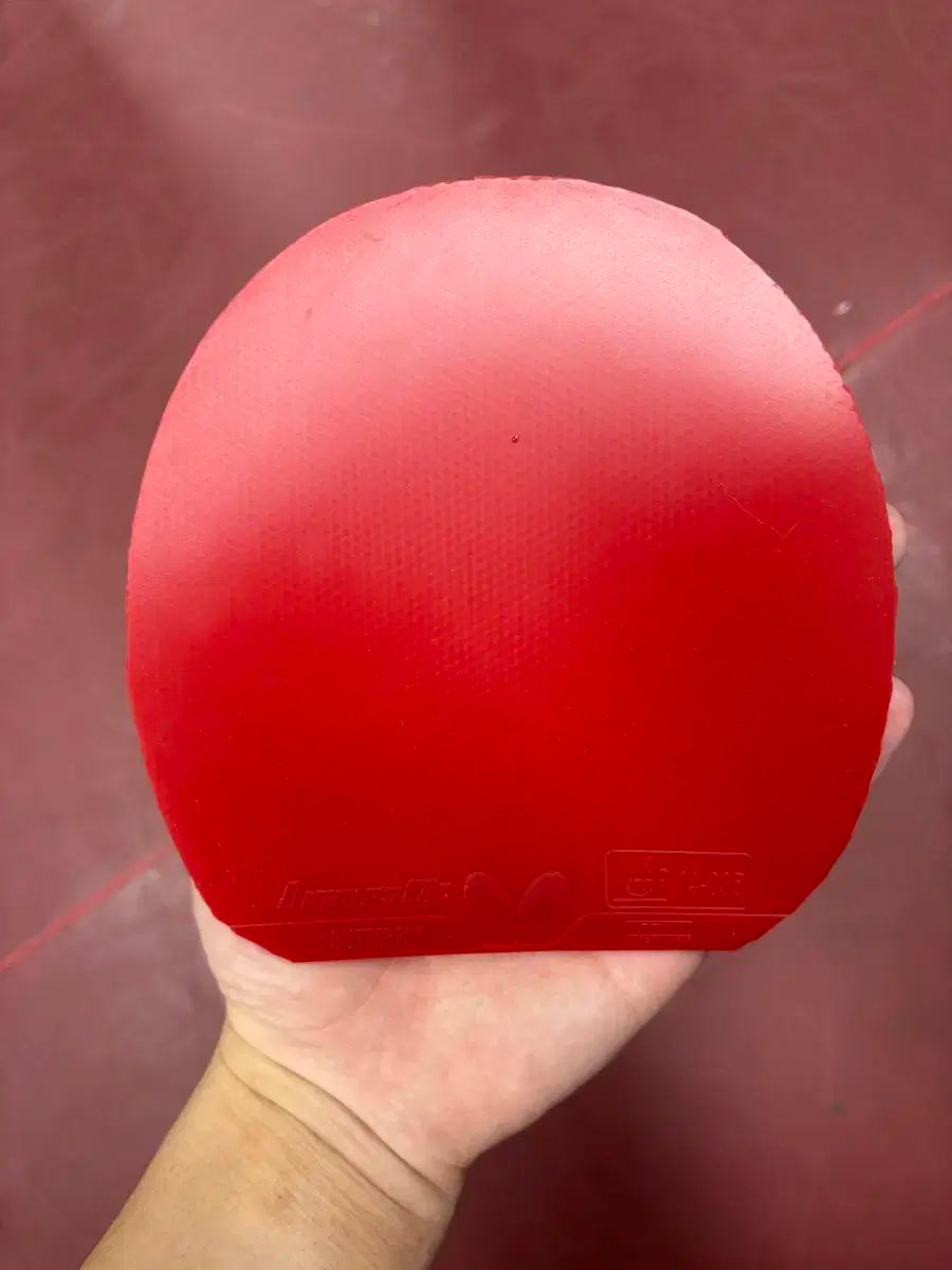 バタフライ ディグニクス 09C 赤黒