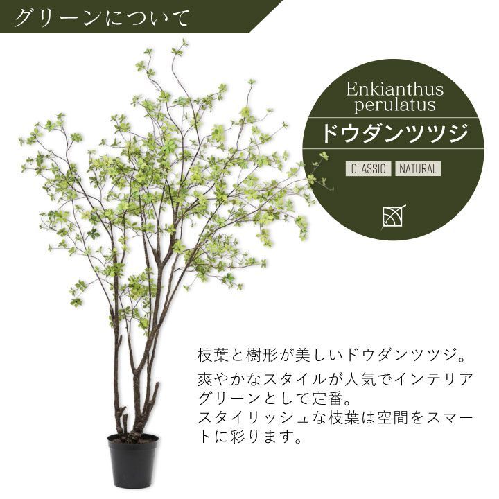 フェイクグリーン ドウダンツツジ