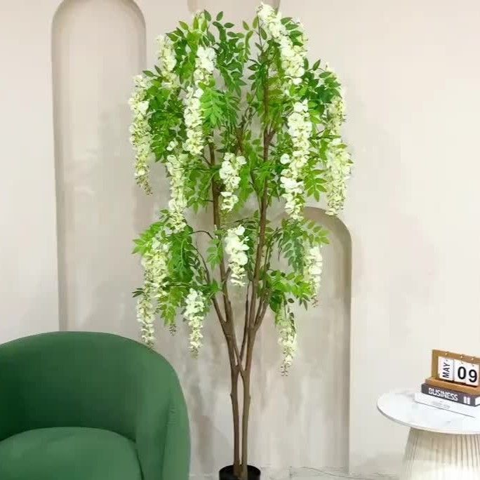 観葉植物