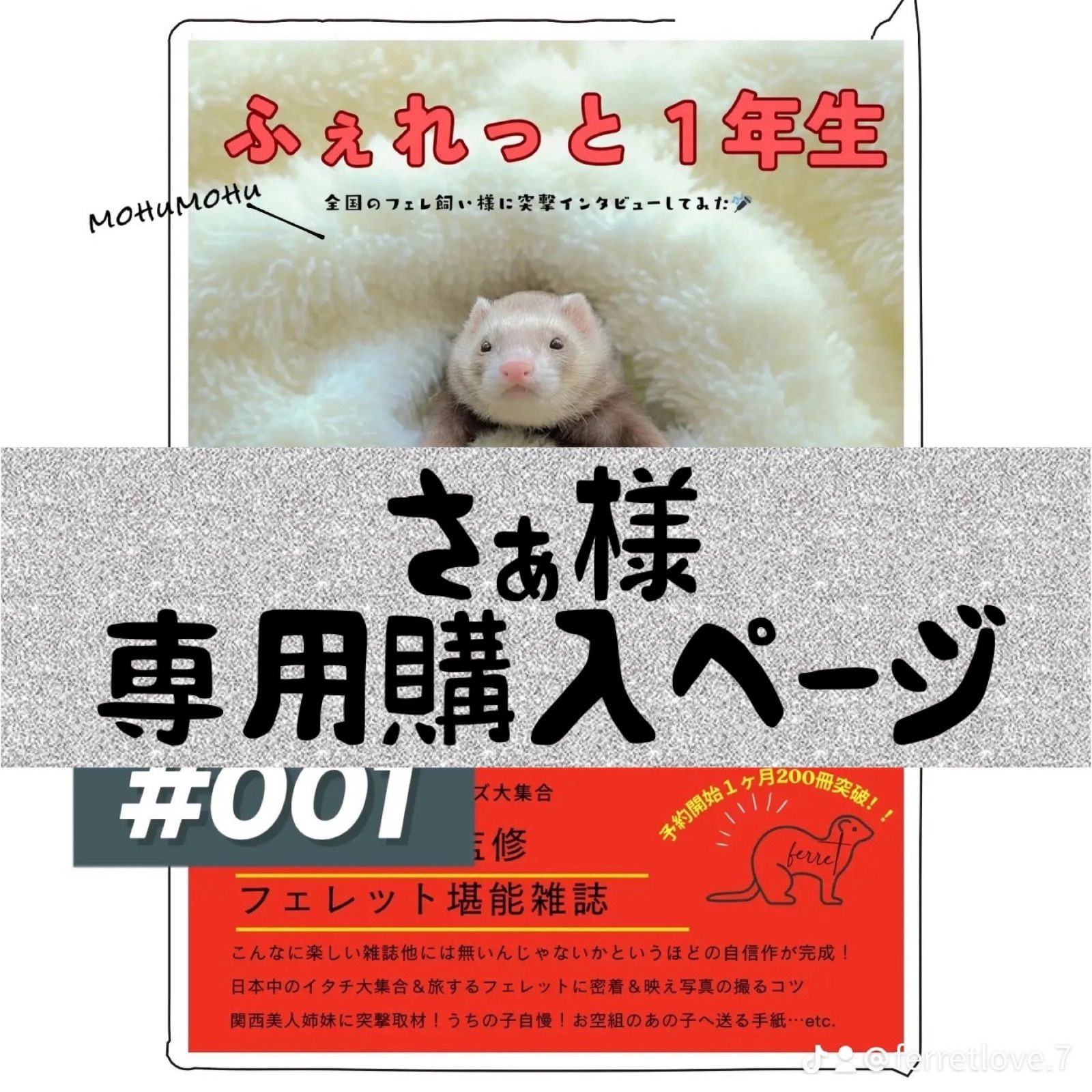 ふぇれっと1年生【さぁ様専用2冊購入ページ】