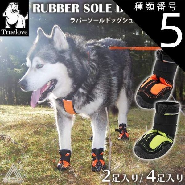 coach dog collar シグネチャー リード&首輪 セット 小型犬 コーチ 犬