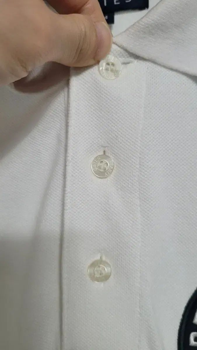 コットン生地