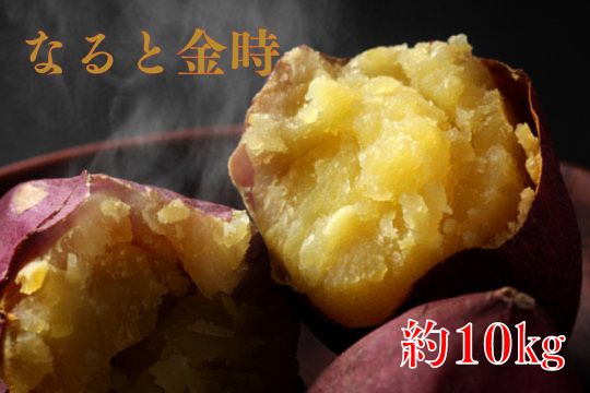 お得❕なると金時１０キロ(B品/不揃いですが美品です！) さつまいも 徳島県産 - メルカリ