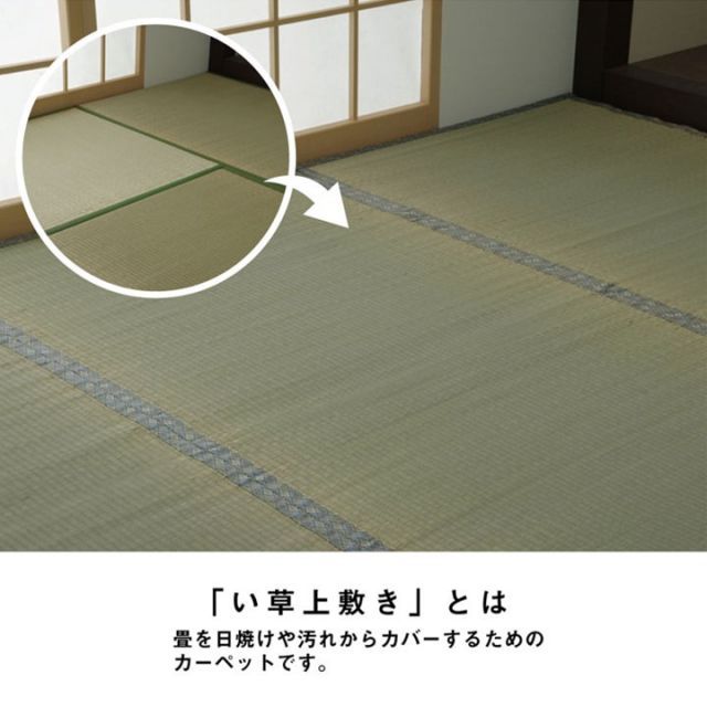 い草 上敷き カーペット 制菌 抗菌防臭 消臭 小林製薬KOBA-GUARD 江戸間6畳 約261×352cm 代引不可 MARWIL-DEMENAGEMENTS_CH