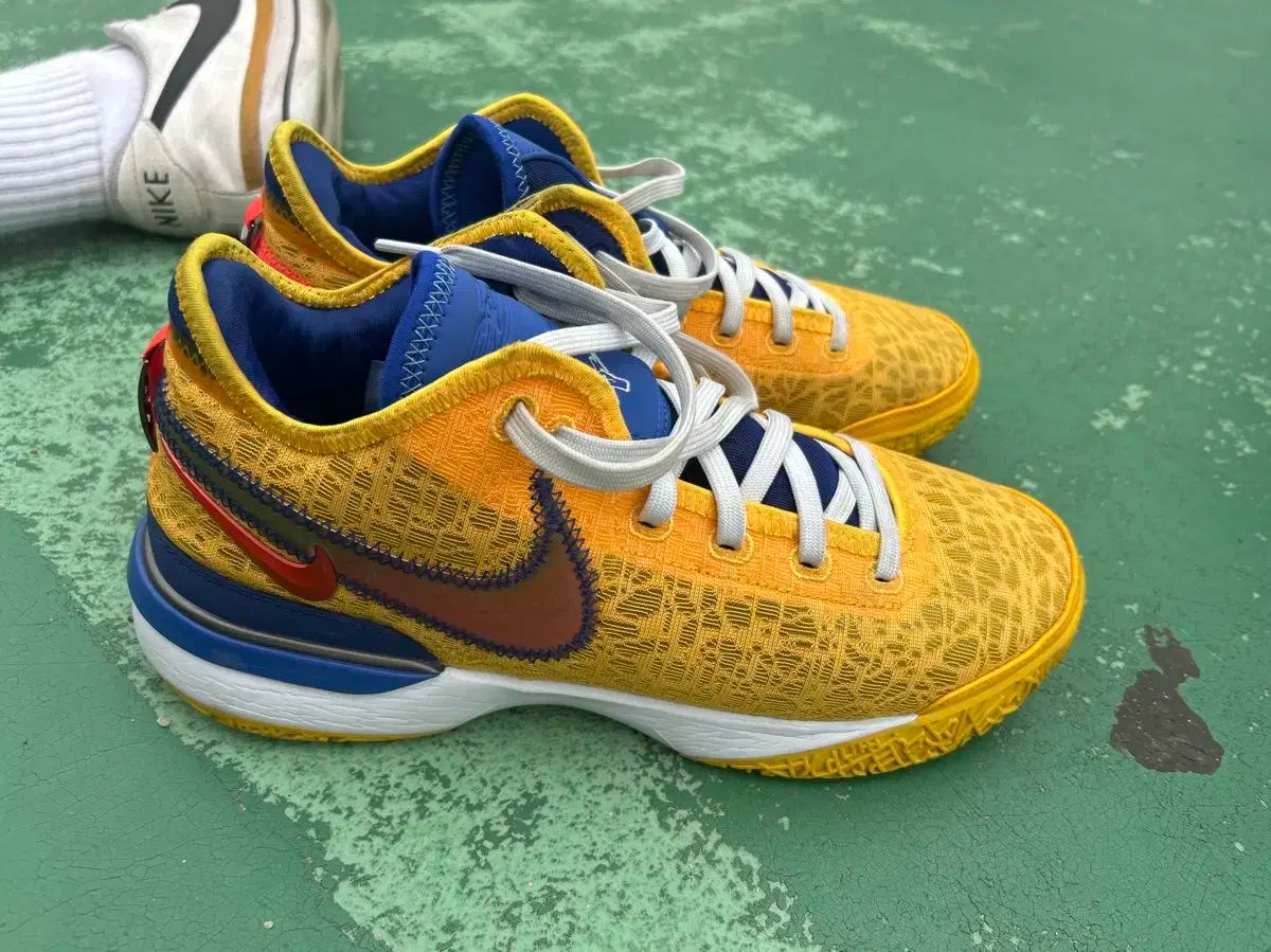 レブロン 次世代