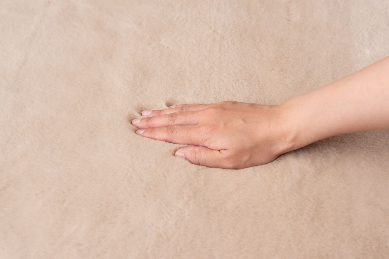 ソフトタイプ シンプル