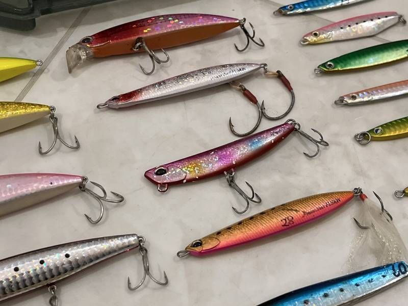 シーバス ソルトゲーム