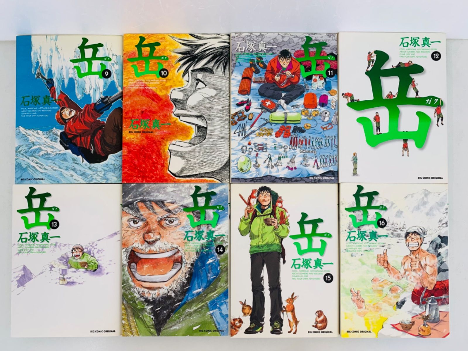 岳 石塚真一 1-18巻 全巻