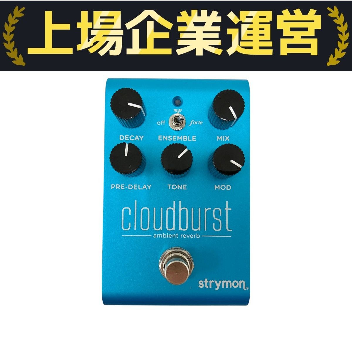 Strymon cloudburst アンビエント リバーブ エフェクター 音響