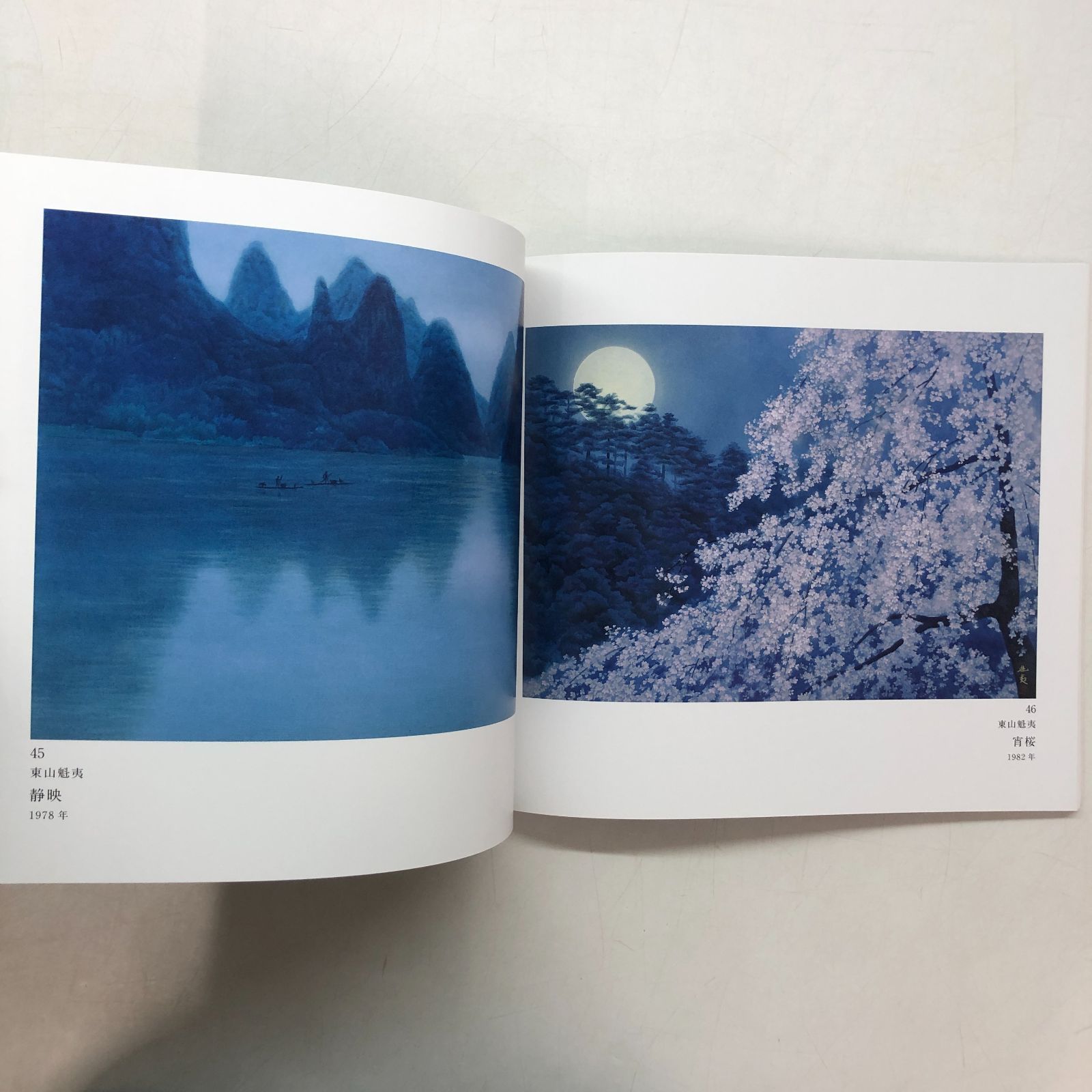 近代日本画の巨匠　横山大観図録 図録 日本の美を愛した巨匠たち 近代日本画名品展 -横山大観から