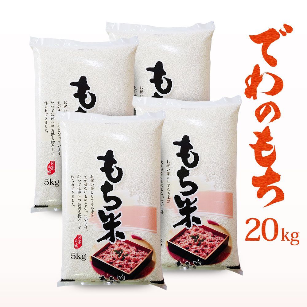 もち米 20kg 山形県産 でわのもち 令和5年 餅米 国内産 20キロ