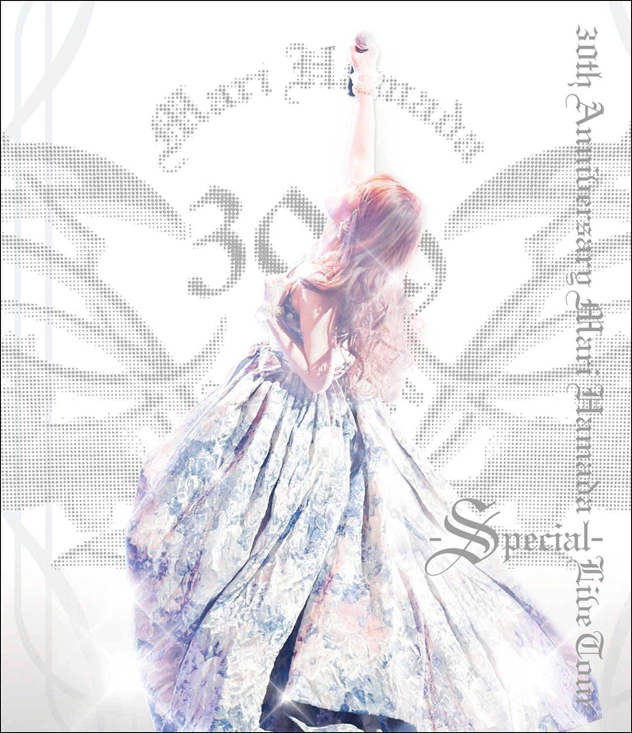 30th Anniversary Mari Hamada Live Tour -Special - Blu-ray2枚組 浜田麻里 出演 形式 Blu-ray