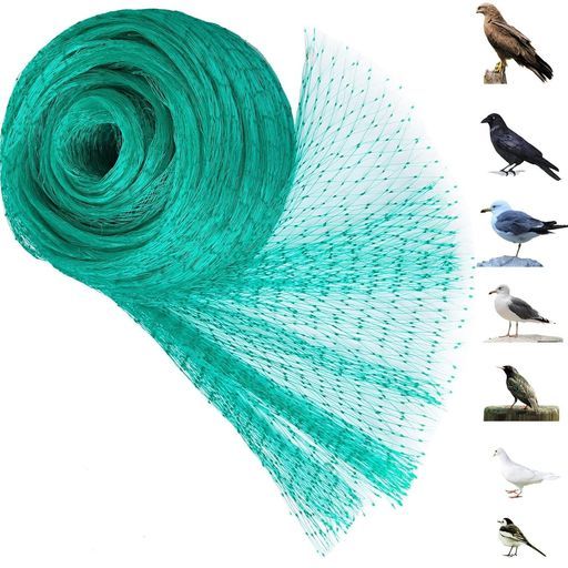 中国 清代光緒期 茶葉末釉 筆洗 オリーブ釉 文房 古美術 骨董品