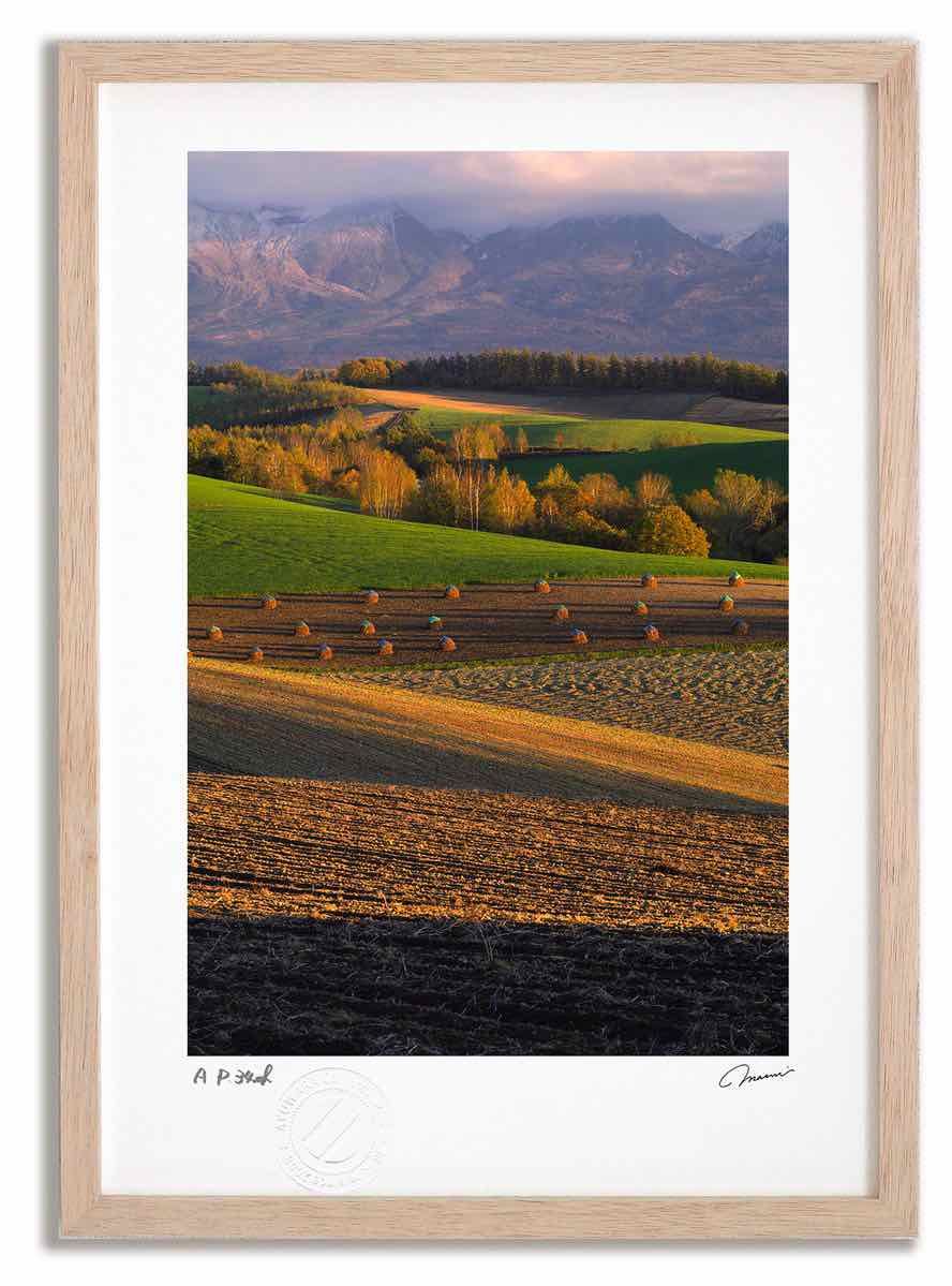 橋本清一 パステル原画 肉筆 橋本清一 パステル原画 肉筆 セイ