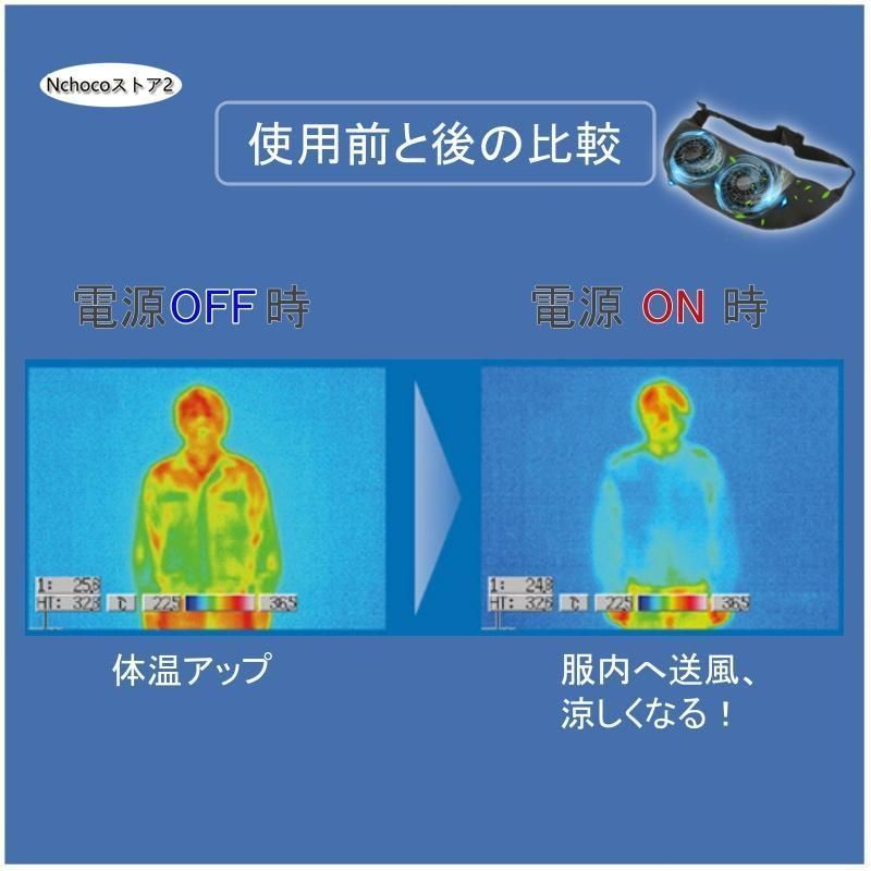 ベルトファン