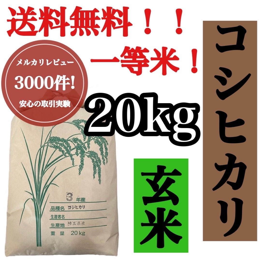 SALE／96%OFF】 玄米 20kg コシヒカリ 新米 埼玉県産 令和4年産 送料