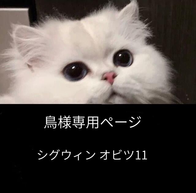 鳥様確認用専用ページ シグウィン オビツ11 - メルカリ