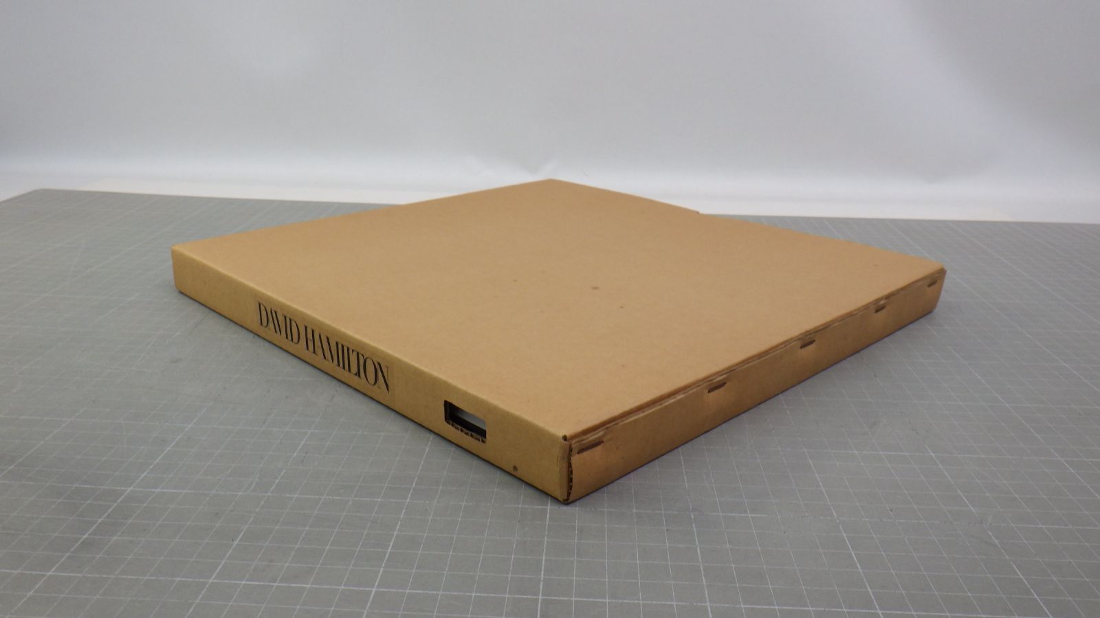 【David Hamilton：Jardin Secret 】1981年初版 Jardin Secret by Hamilton David, Used - AbeBooks