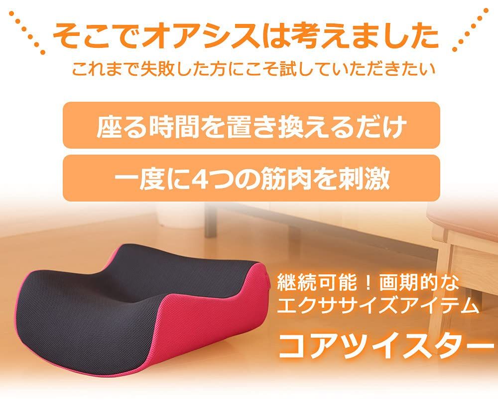 東急スポーツオアシス コアツイスター CTS-100 腹筋ツイスト 東急スポーツオアシス コアツイスター CTS-100 腹筋ツイスト