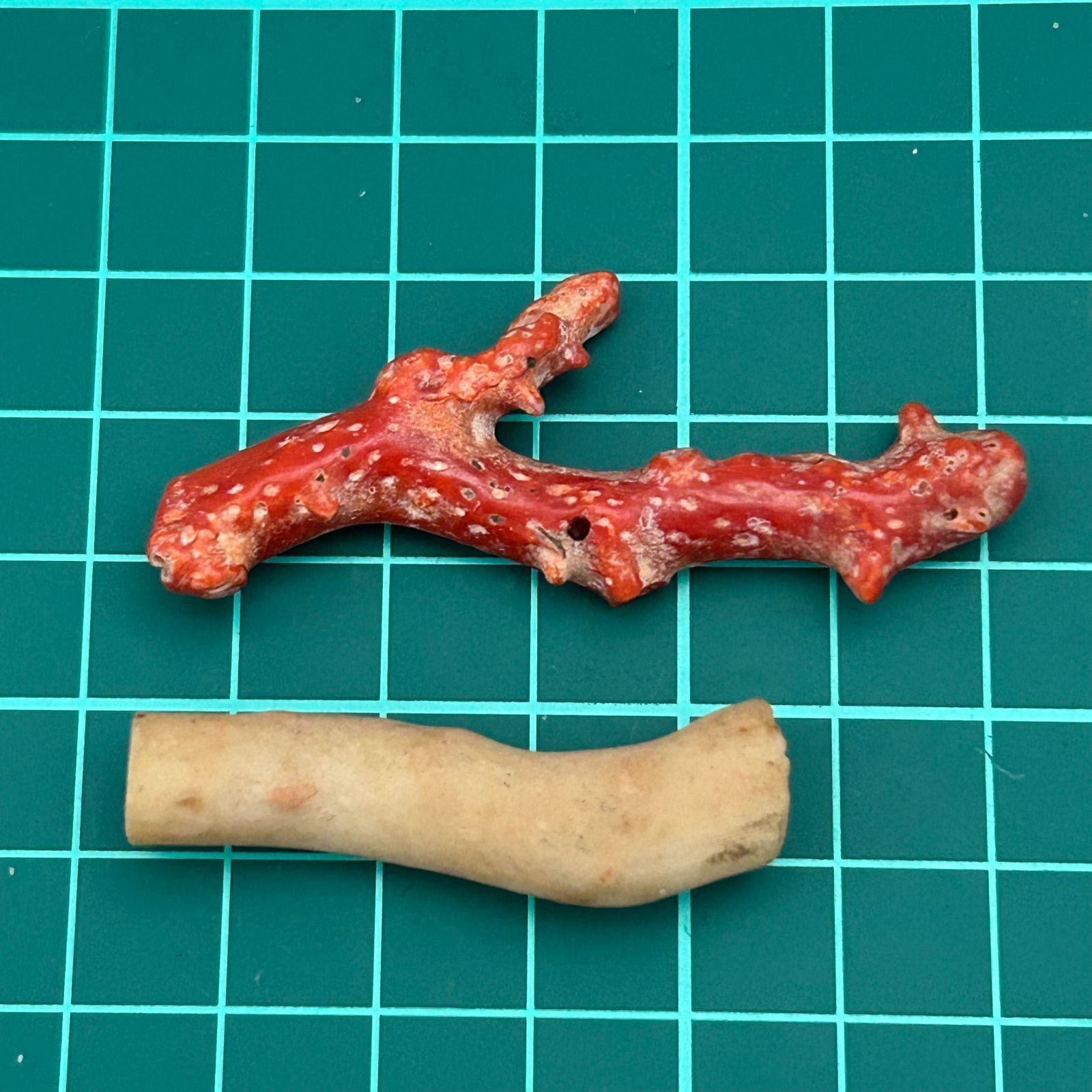 血赤珊瑚 白サンゴ(桃色サンゴ) 原木 2本 まとめセット - メルカリ