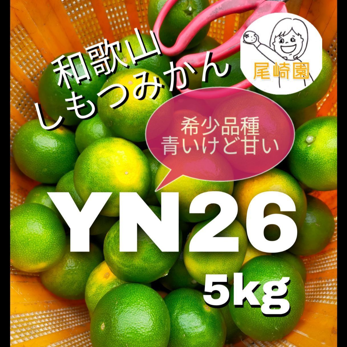 和歌山 しもつみかん YN26（希少品種、青いけど甘い） 5kg 