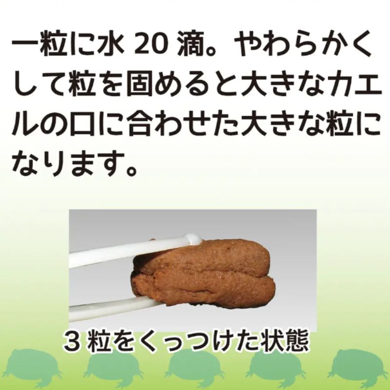 ベルツノガエル フード