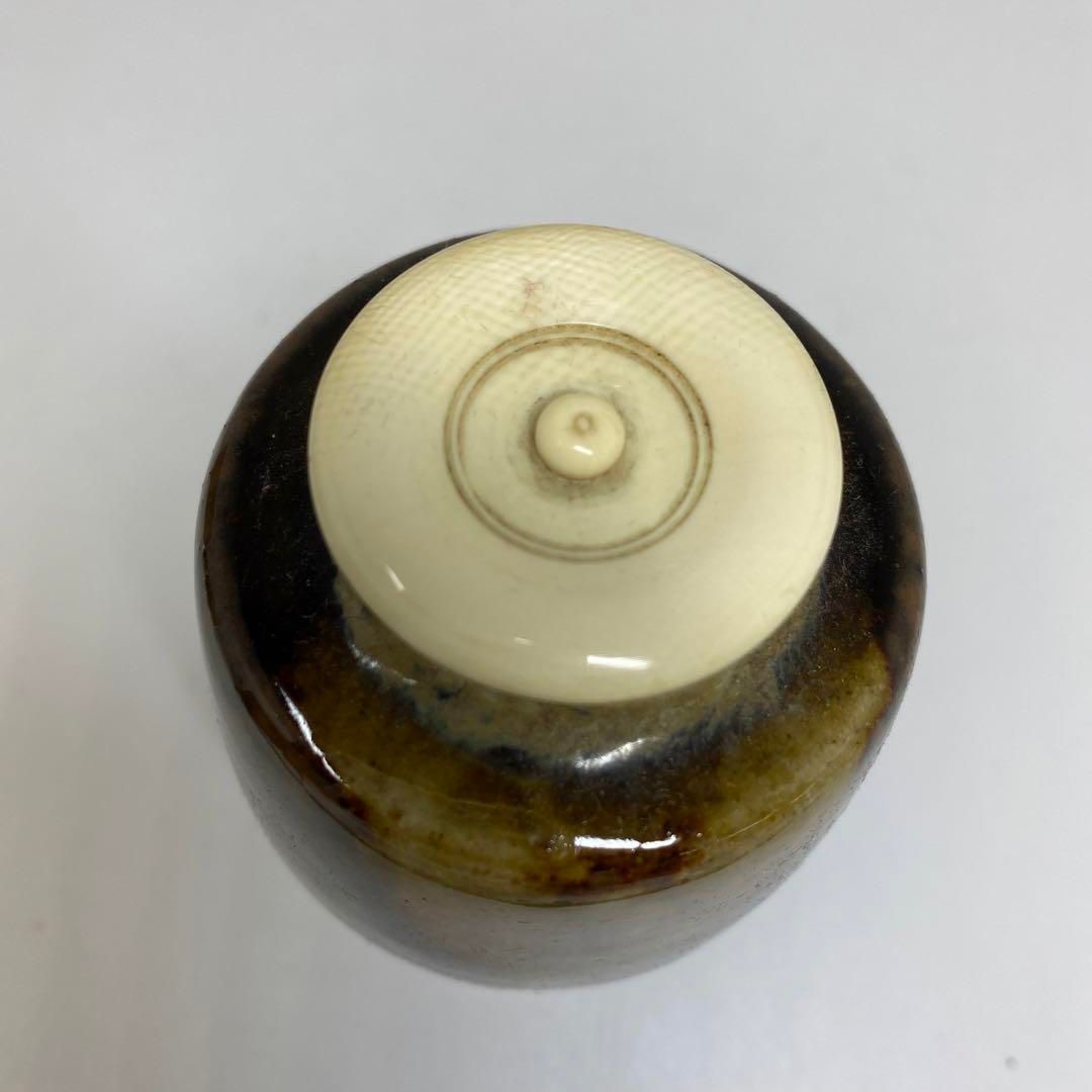 淡海ぜぜ陽炎園造