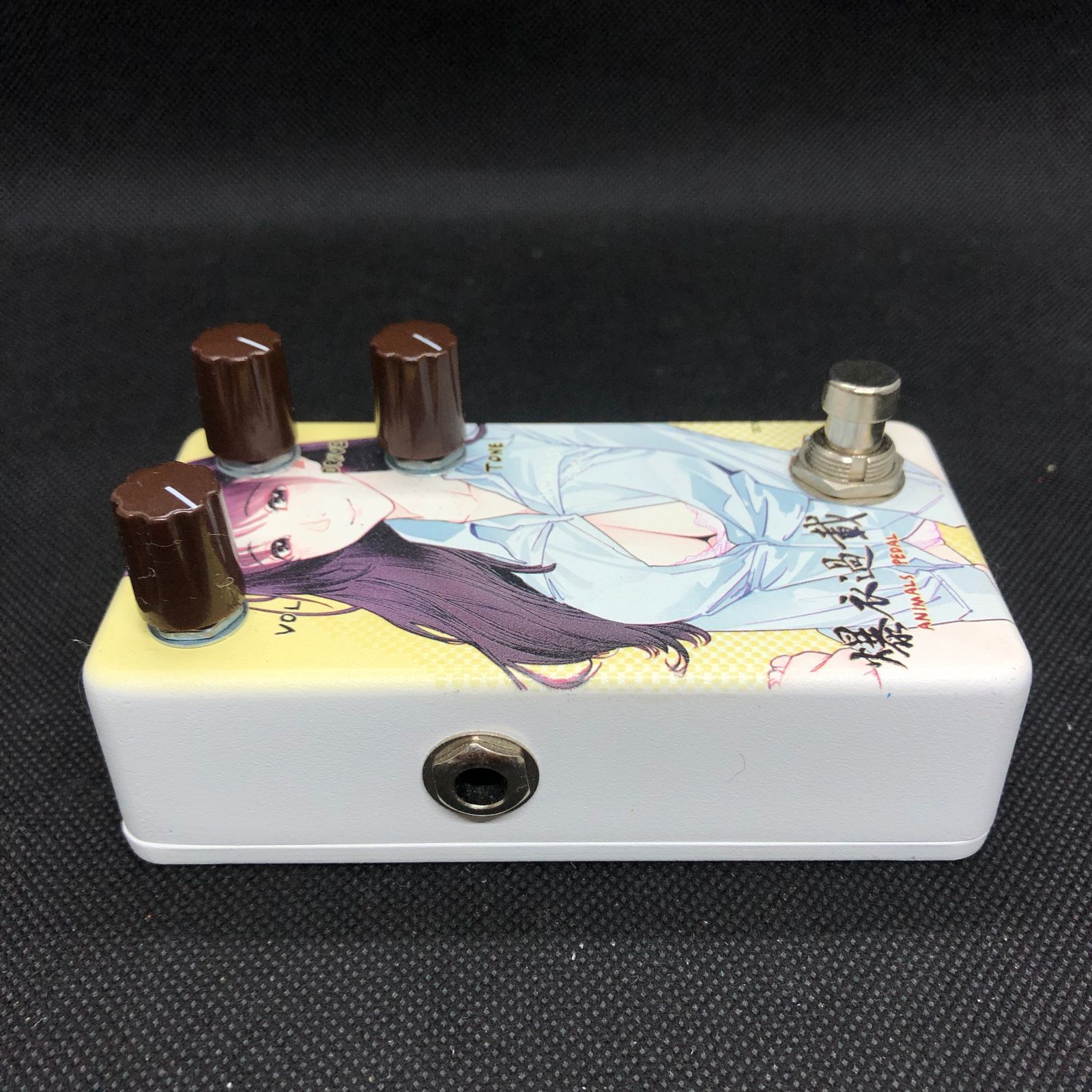 Animals Pedal Custom Illustrated Surfing Bear Overdrive by