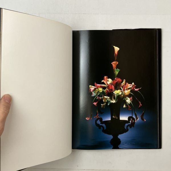醉花 栗崎昇作品集 栗崎昇 文化出版局 1990年 ☆ 写真集 華道 挿花
