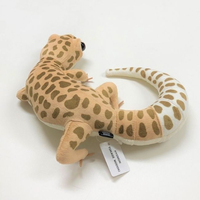 ヒョウモントカゲモドキ ぬいぐるみ Amazon.co.jp: ヒョウモントカゲモドキ ぬいぐるみ ピンク