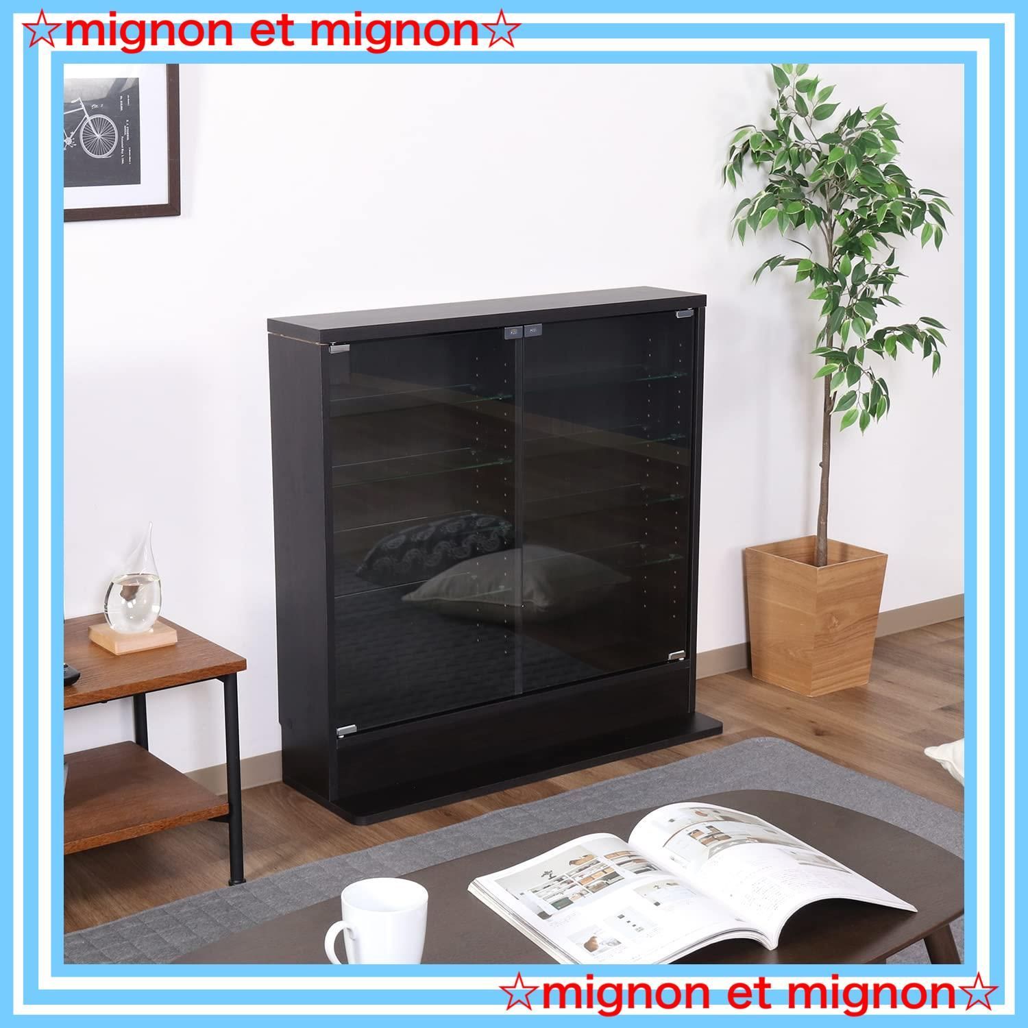 不二貿易 コレクションケース フィギュアケース 5段 ブラック 浅型 96070