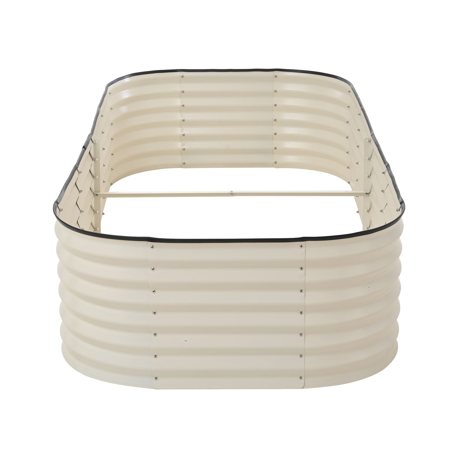 特選苗 スーパー兜 ヒトデタイプ 大疣（全幅10cm）自家繁殖苗 大