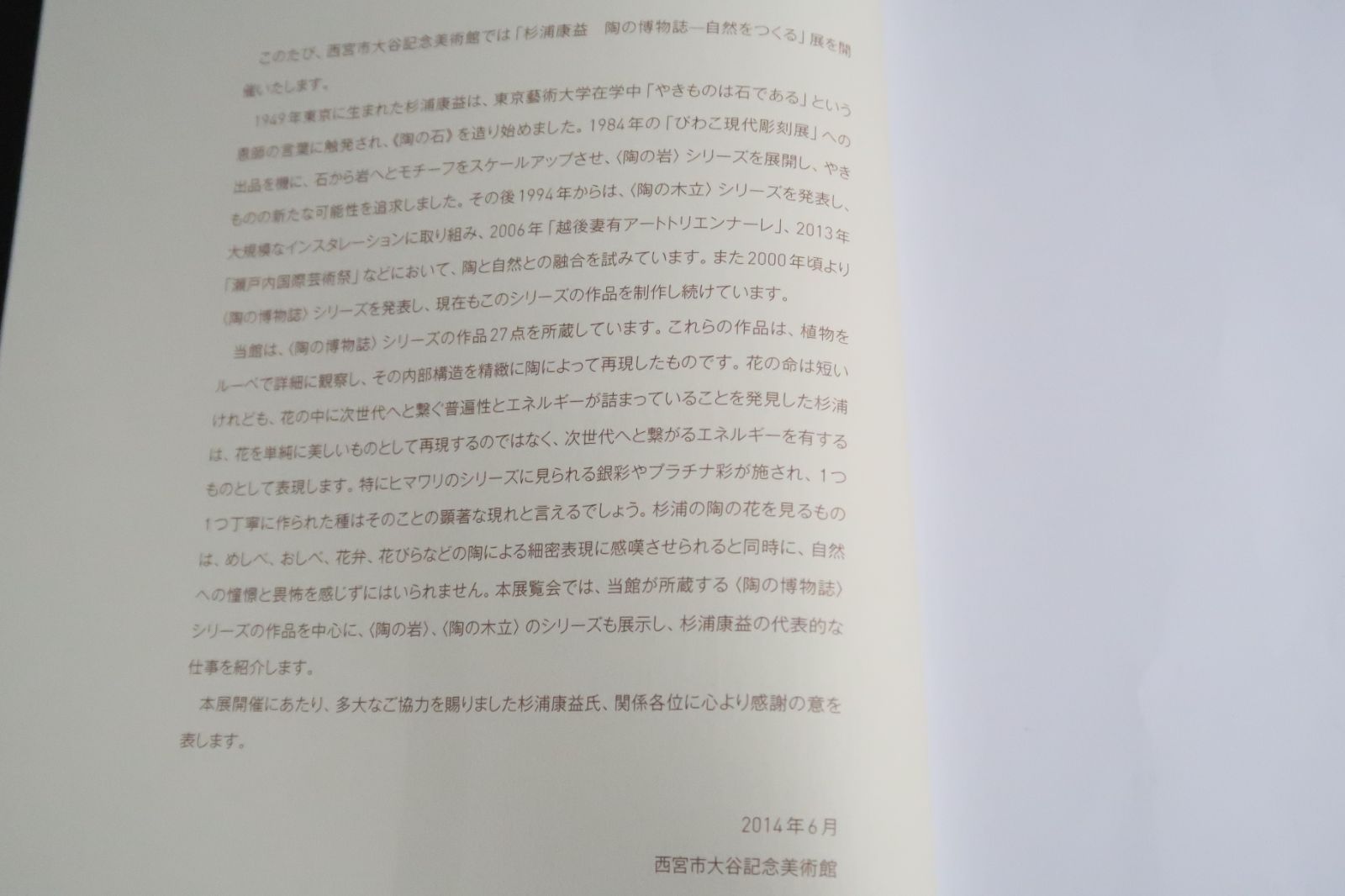 葉化石皿 (杉浦康益 作) 葉化石皿 (杉浦康益 作)