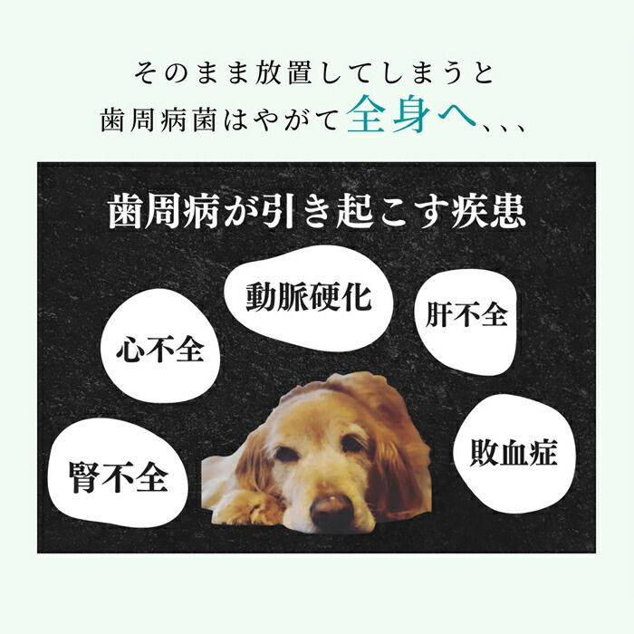 携帯用 デンタルジェル
