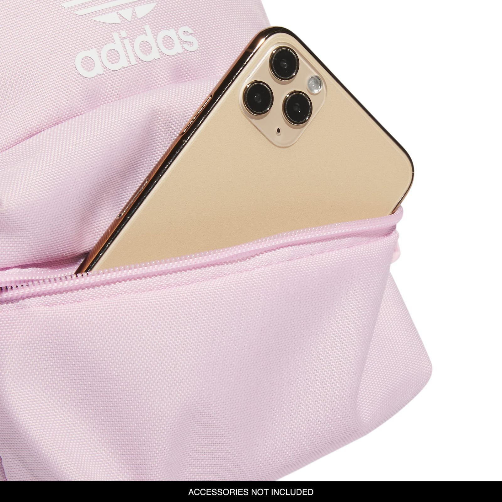 Free Size